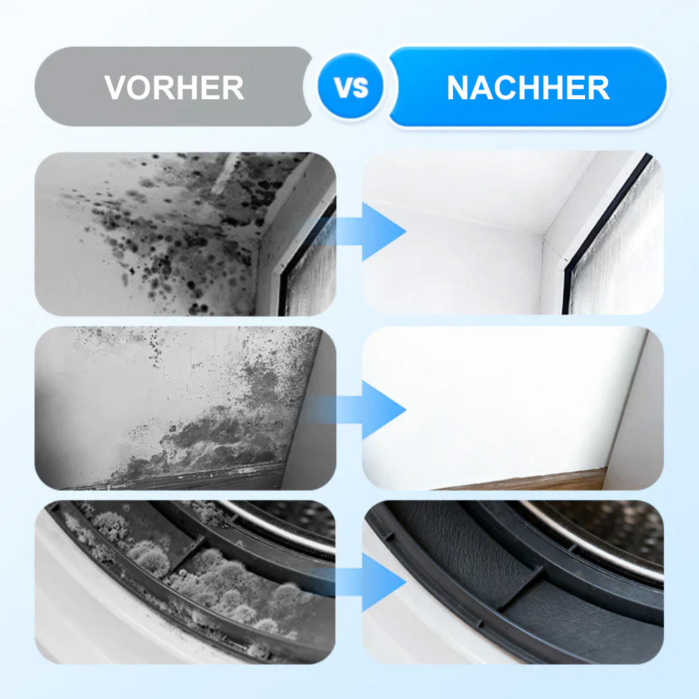 🫧Hochwirksames Schimmelspray🛡️– Verhindert Schimmelbildung. Schützt Ihre Familie🏠